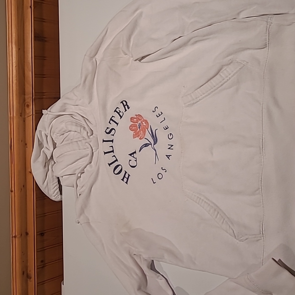 Hollister hoodie
